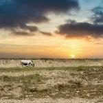 Panama * ロッカテデリギ